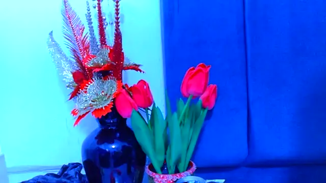 AmbarSmit online show from April 2026 11:07:02 PM