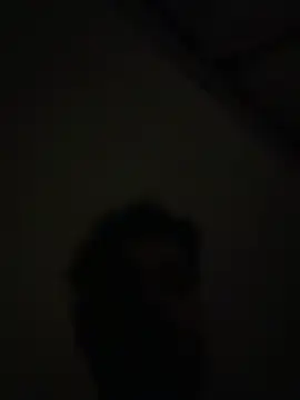 Handydila online show from November 2025 10:57:02 PM