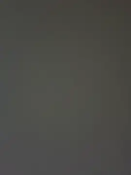 sunset24 online show from March 2026 07:42:01 AM