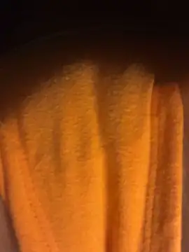 sunset24 online show from March 2026 09:15:02 AM