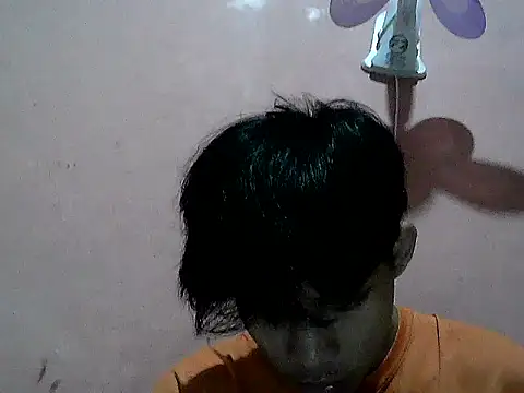 Kyoshi 19 online show from November 2025 11:47:01 AM