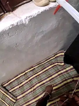 RAYI Queen 3 online show from November 2025 02:50:01 PM