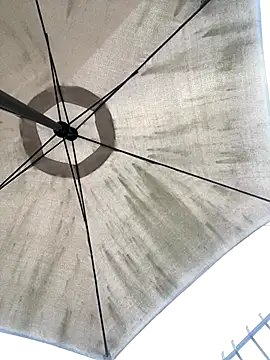 Sallem Pink online show from December 2025 11:13:01 AM