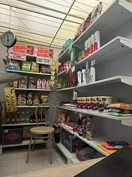 Sallem Pink online show from February 2026 11:21:02 AM