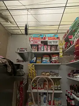 Sallem Pink online show from March 2026 11:11:02 AM