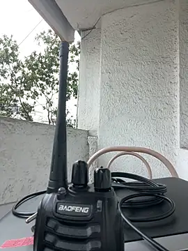 Sallem Pink online show from March 2026 11:25:02 AM