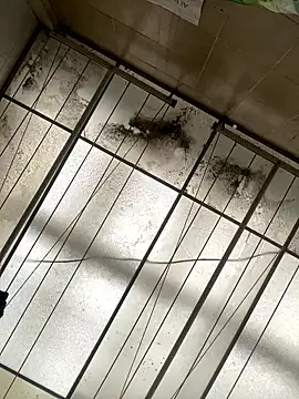 Sallem Pink online show from January 2026 11:25:01 AM