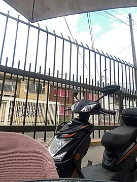 Sallem Pink online show from January 2026 11:25:01 AM