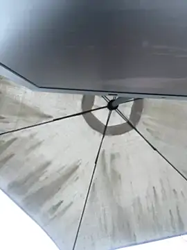 Sallem Pink online show from April 2026 11:17:02 AM