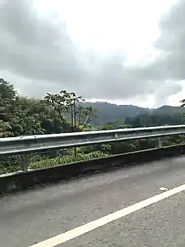 TamaraMera online show from January 2026 02:22:01 PM