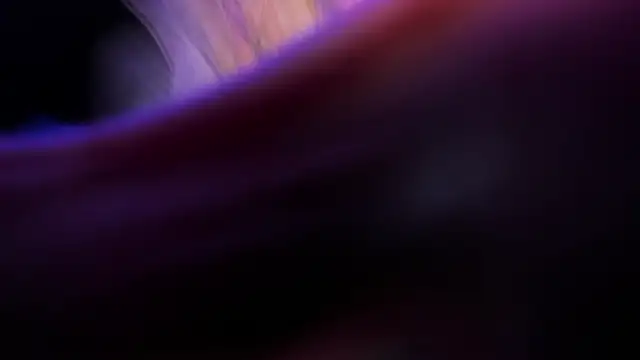 Widny Beaumont online show from November 2025 03:38:02 AM