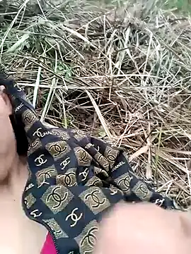 optra34 online show from March 2026 11:00:02 AM