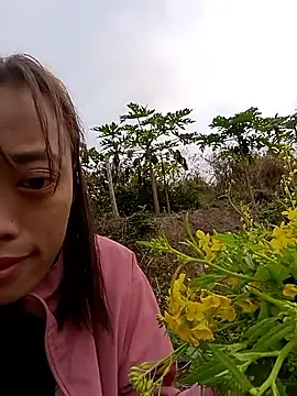 optra34 online show from February 2026 01:56:02 AM