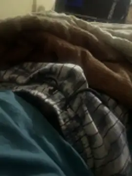 cuttieboii online show from April 2026 04:15:02 AM