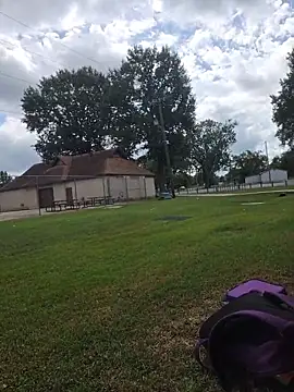 g0lden are0las89 online show from September 2025 04:58:01 PM