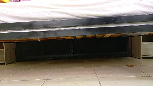 RiriiBrunette   online show from February 2026 08:31:02 PM