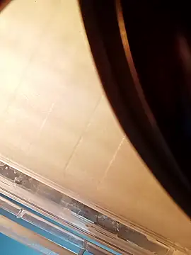 NISHU-TELUGU online show from January 2026 03:37:02 PM