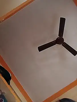 NISHU-TELUGU online show from March 2026 03:13:01 AM