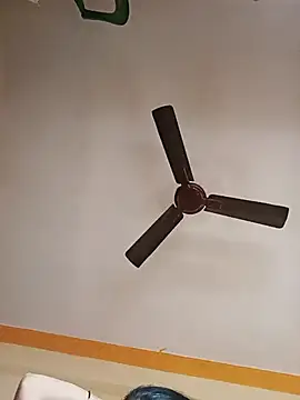 NISHU-TELUGU online show from December 2025 03:33:01 AM