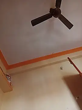 NISHU-TELUGU online show from April 2026 03:08:01 AM