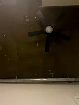 Orgazmic007 online show from October 2025 04:25:01 AM