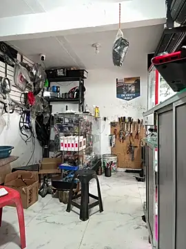 Terra-22cm online show from December 2025 03:15:02 PM