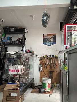 Terra-22cm online show from January 2026 05:27:02 PM