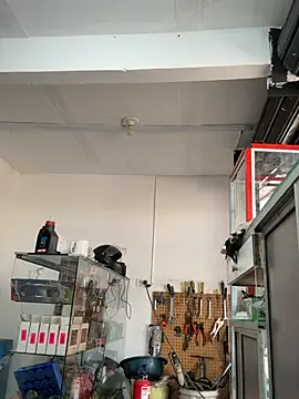 Terra-22cm online show from March 2026 02:39:01 PM