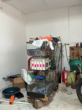 Terra-22cm online show from February 2026 01:22:01 PM