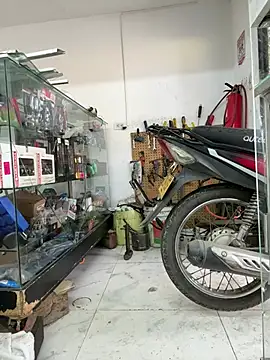 Terra-22cm online show from March 2026 12:42:01 PM