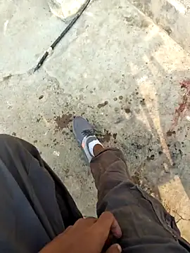 RAYI Queen 4 online show from February 2026 02:47:01 AM