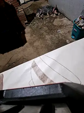 Snapshot of Negodabenga chatting on October 2025 11:27:02 PM Negodabenga online show from October 2025 11:27:02 PM