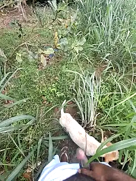 Negodabenga online show from February 2026 01:11:02 PM