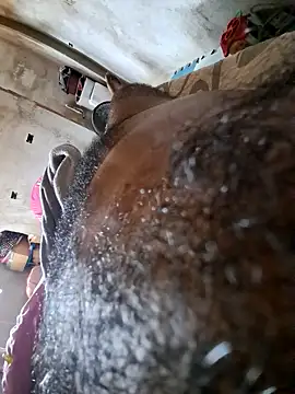 Snapshot of Negodabenga chatting on October 2025 12:40:02 PM Negodabenga online show from October 2025 12:40:02 PM