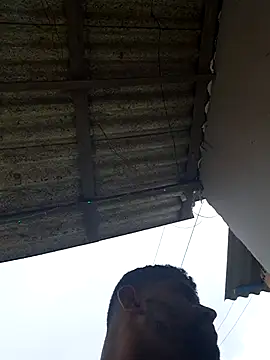 Negodabenga online show from February 2026 04:42:02 PM