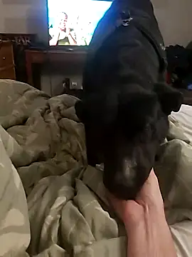 dandonn online show from February 2025 01:08:02 AM