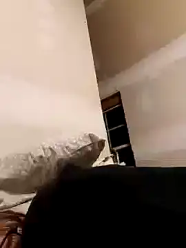 dandonn online show from January 2025 06:34:01 AM