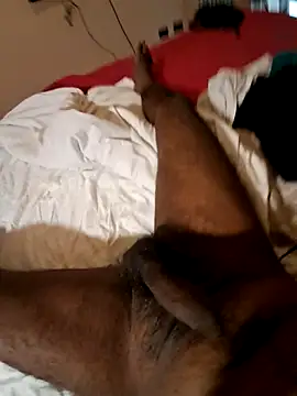 Stud s online show from February 2026 09:29:01 AM