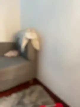 snow doll online show from March 2026 08:18:01 PM