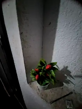 MIXJARABA online show from February 2026 08:01:01 AM