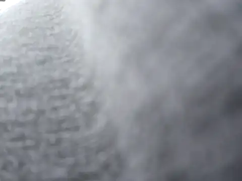 sloppytopkins online show from December 2025 06:08:01 PM