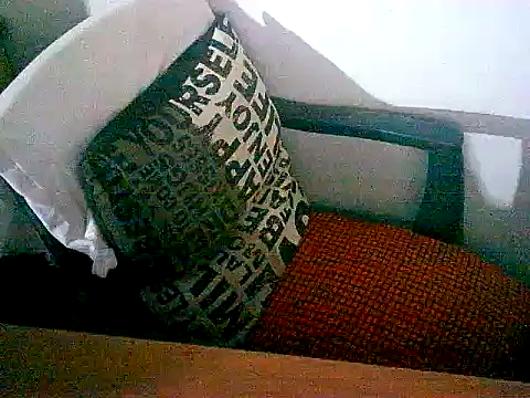 sacptjock83 online show from December 2025 08:58:01 PM