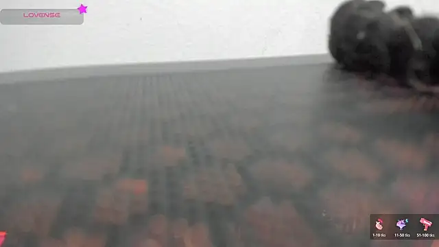 FluffyMelons online show from April 2026 11:01:02 PM