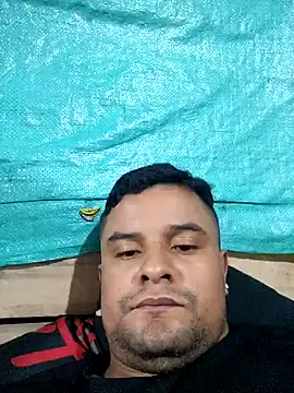 gomelo 19cm online show from February 2026 05:36:01 PM