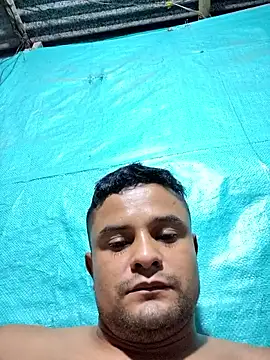 gomelo 19cm online show from February 2026 01:50:01 AM