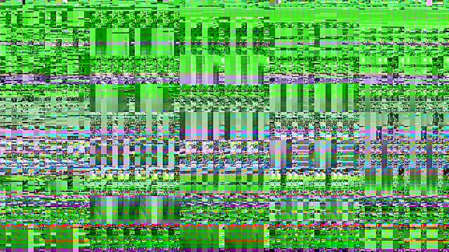 cazzoweb online show from September 2025 12:55:01 PM