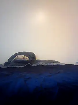 pullitoff online show from March 2026 03:10:02 PM