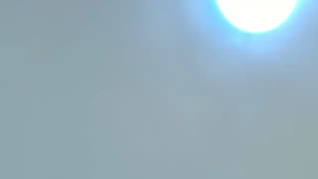 Dixie grey1 online show from October 2025 02:47:02 PM