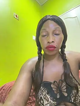 kinghtwalker online show from February 2026 10:31:02 PM