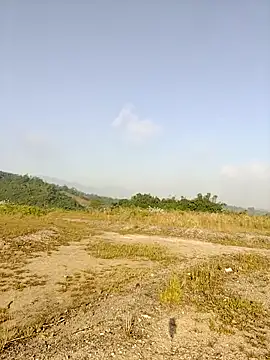 Snapshot of asian_2k chatting on November 2025 01:16:01 AM asian 2k online show from November 2025 01:16:01 AM